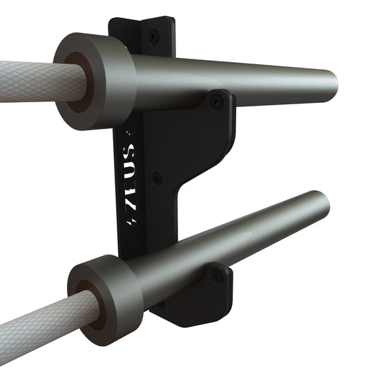 Lightning Gun Rack - 2 Bar