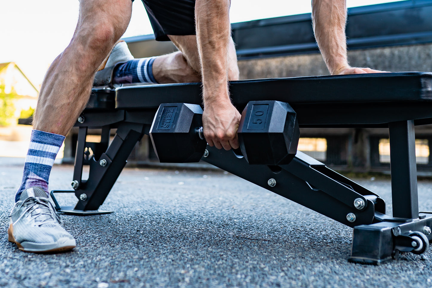 Zeus Rubber Hex Dumbbell