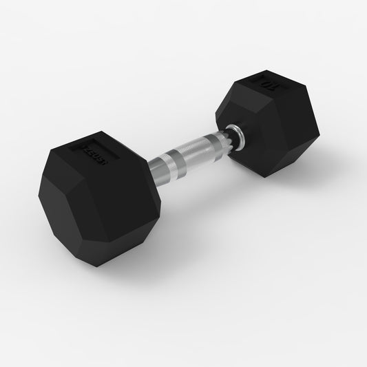 Zeus Hex Dumbbell 10lbs Single