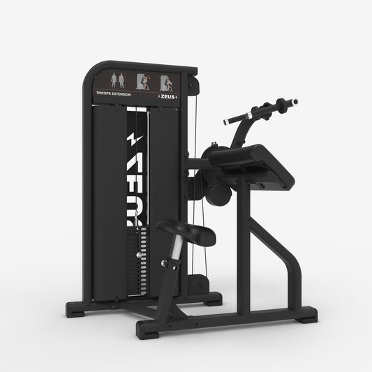 Zeus Dual Biceps & Triceps Machine - AegisX™ Series — view 1 of 5