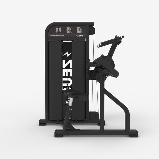 Zeus Dual Biceps & Triceps Machine - AegisX™ Series — view 2 of 5