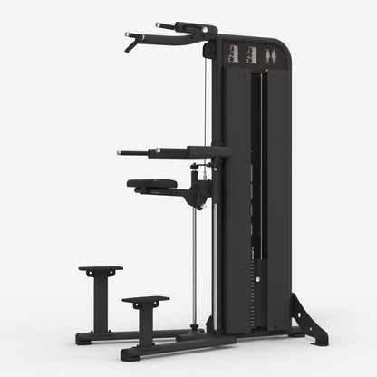 Chin-Up & Dip Assist - AegisX™ Series