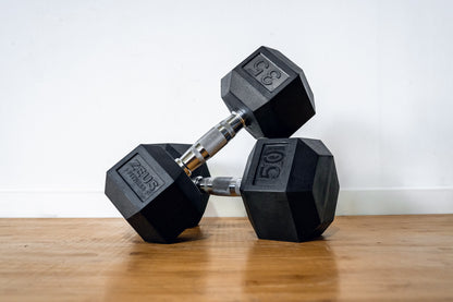 Zeus Rubber Hex Dumbbell
