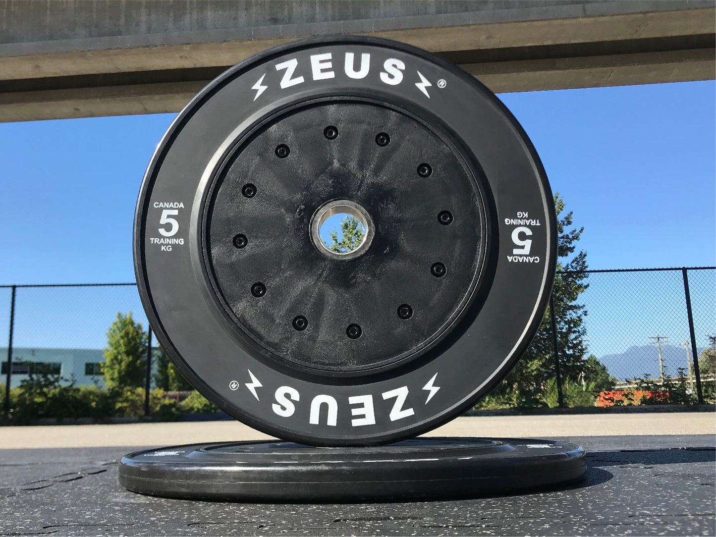 Zeus Droppable 5kg Bumper Plates
