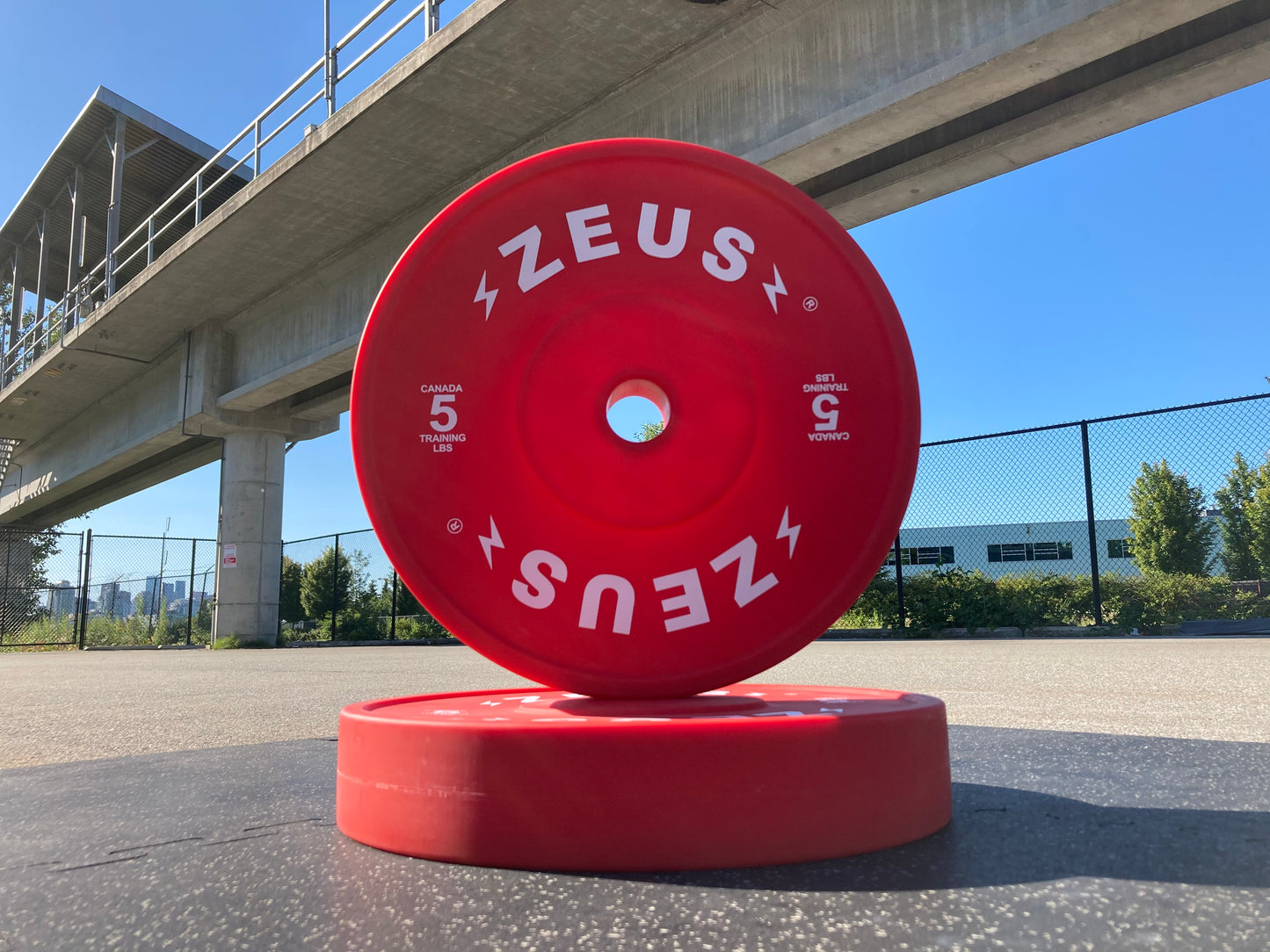 Zeus Technique Bumper Plates