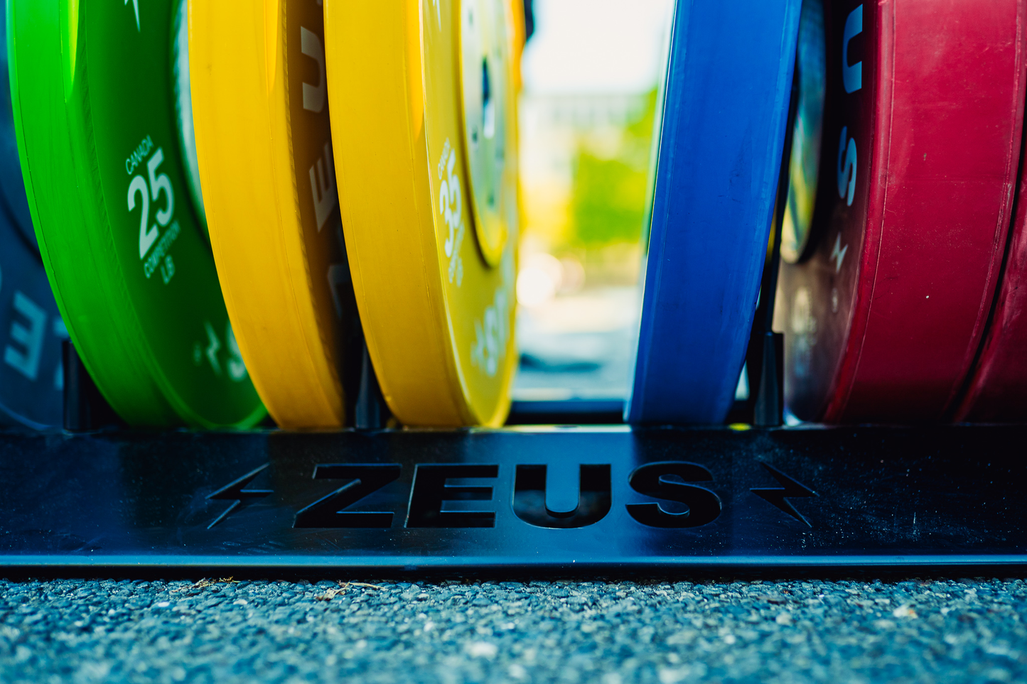 Zeus Olympus Plate Storage Rack