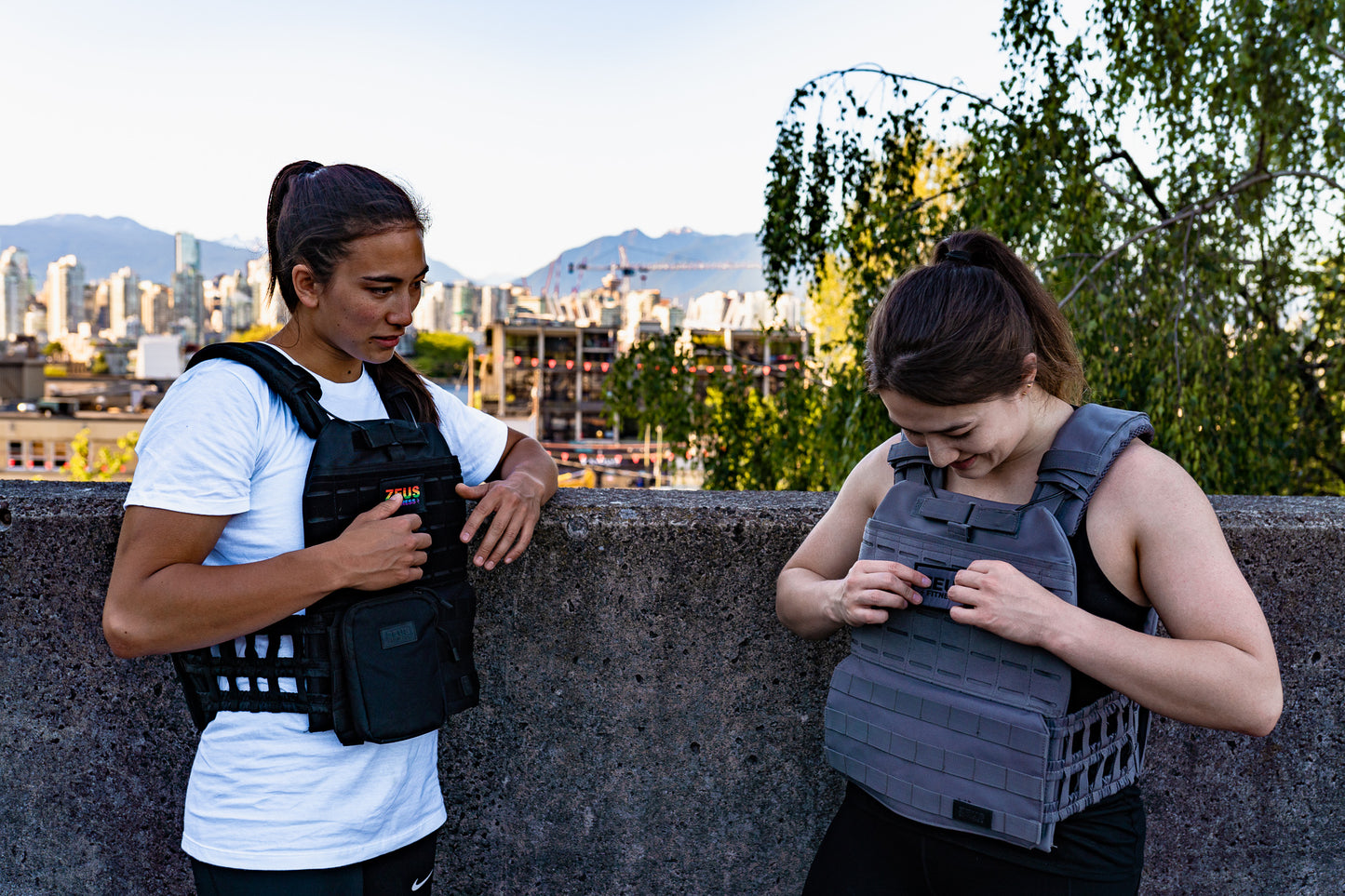Zeus Thunder Plate Carrier